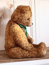 画像9: BIG!! Antique Teddy Bear  (9)