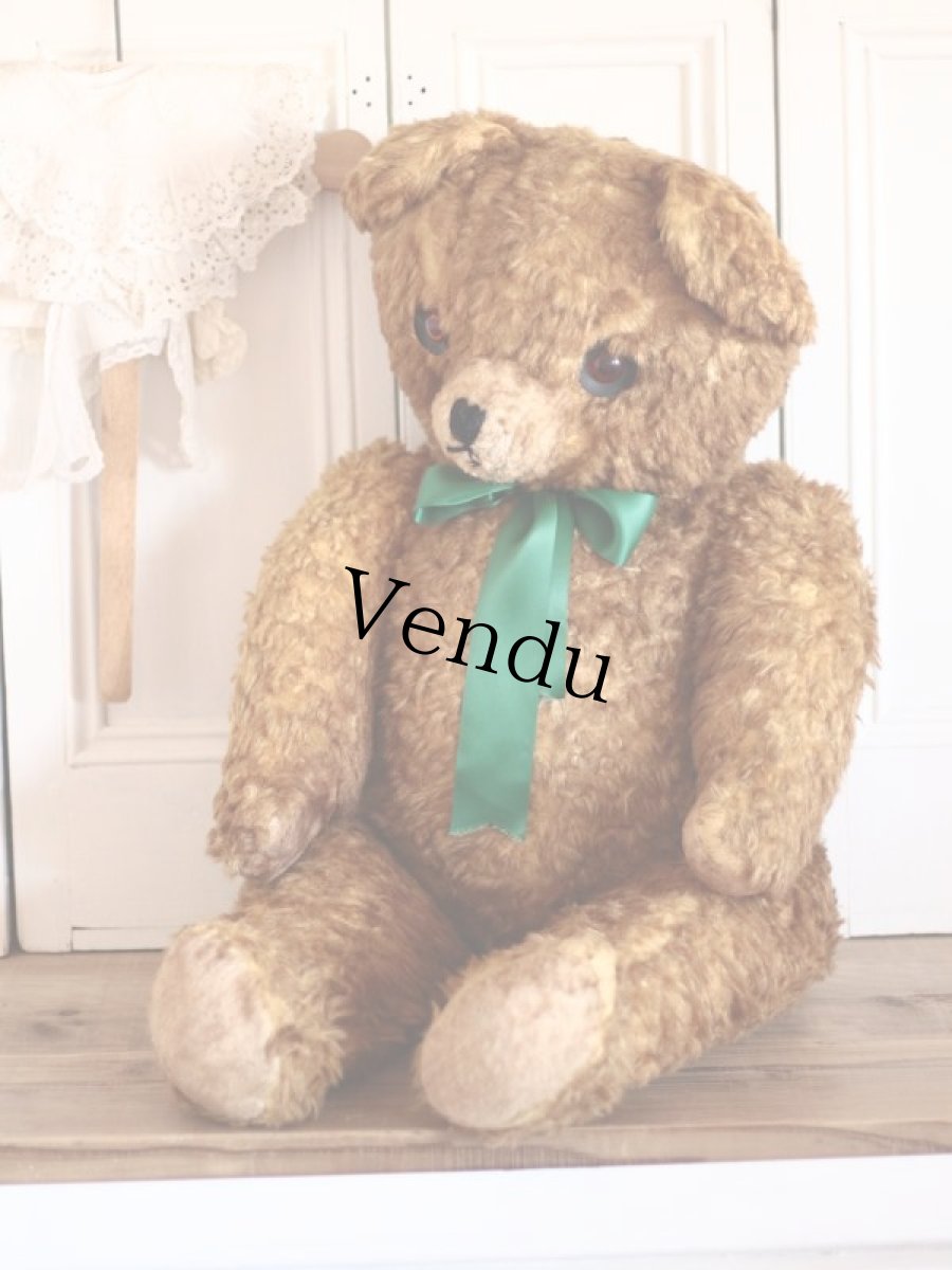 画像1: BIG!! Antique Teddy Bear  (1)