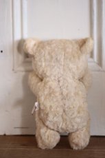 画像6: Knickerbocker TEDDY KUDDLES (6)