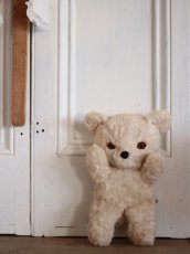 画像1: Knickerbocker TEDDY KUDDLES (1)