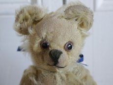 画像2: Antique Bear // 9 1/2in // British (2)