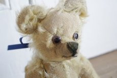 画像7: Antique Bear // 9 1/2in // British (7)