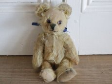 画像9: Antique Bear // 9 1/2in // British (9)