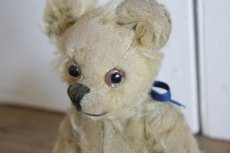 画像8: Antique Bear // 9 1/2in // British (8)