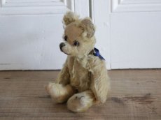 画像4: Antique Bear // 9 1/2in // British (4)