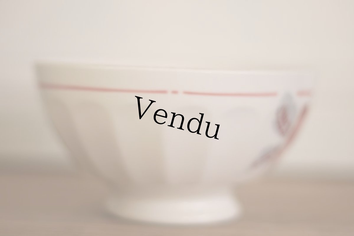 画像4: 橋本さま専用カート//Rose Cafe au lait bowl / France (4)