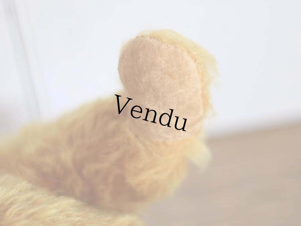 画像11: Knickerbocker Teddy Bear /16in (11)