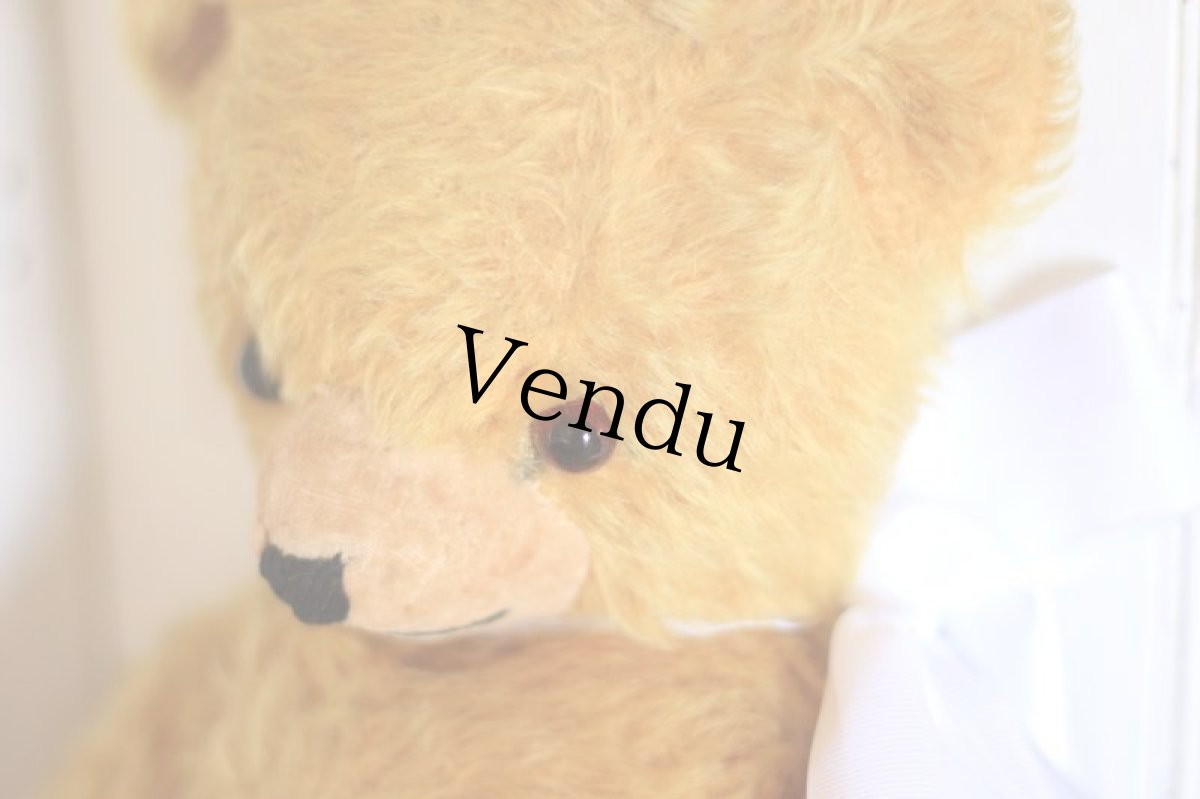 画像4: Knickerbocker Teddy Bear /16in (4)