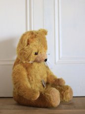 画像5: Knickerbocker Teddy Bear /16in (5)