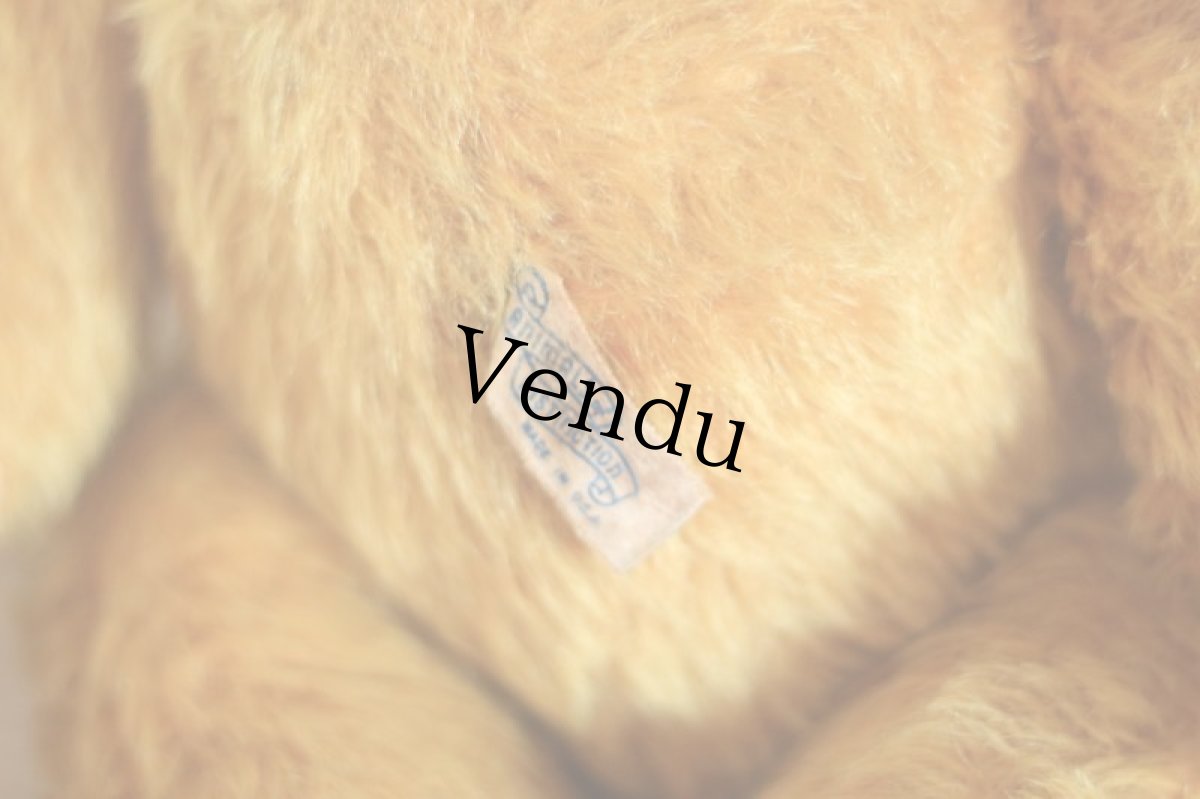 画像8: Knickerbocker Teddy Bear /16in (8)