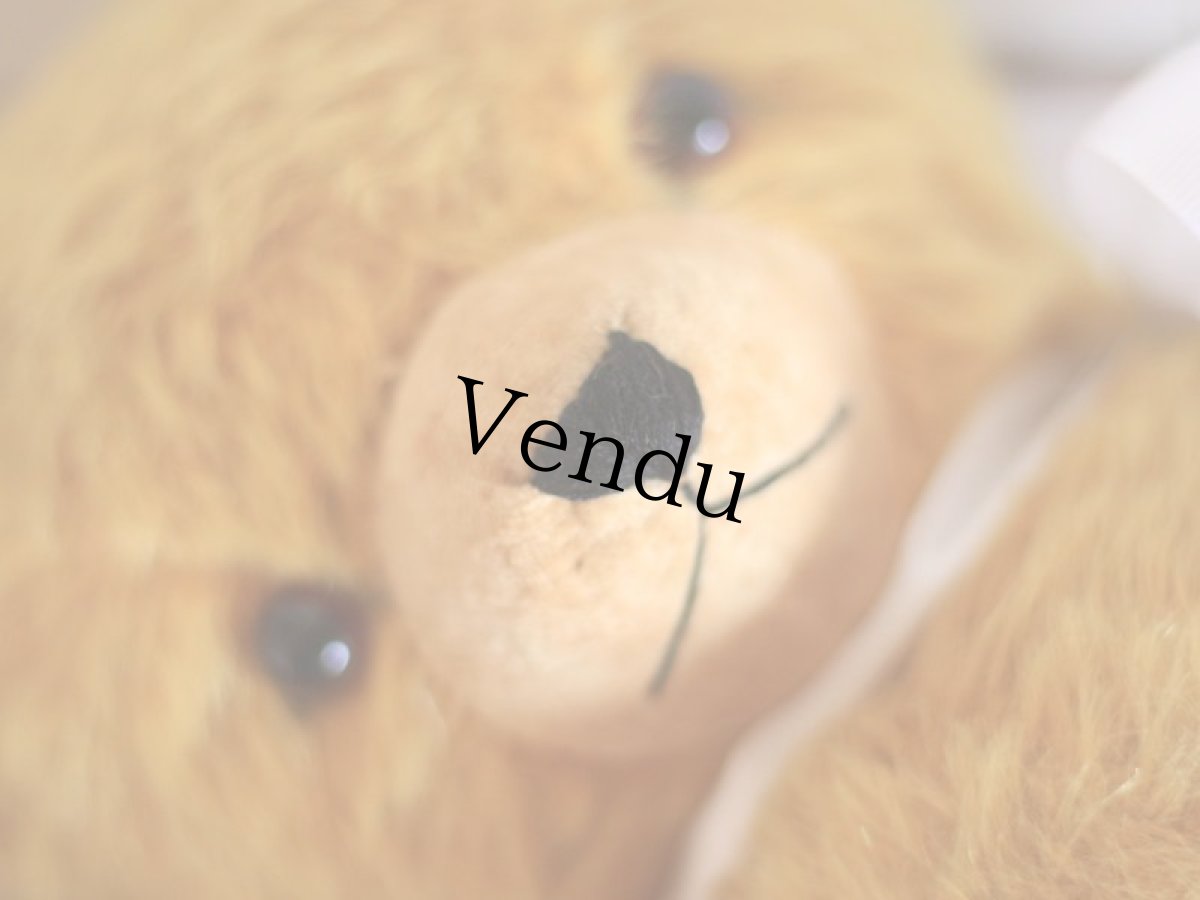 画像14: Knickerbocker Teddy Bear /16in (14)