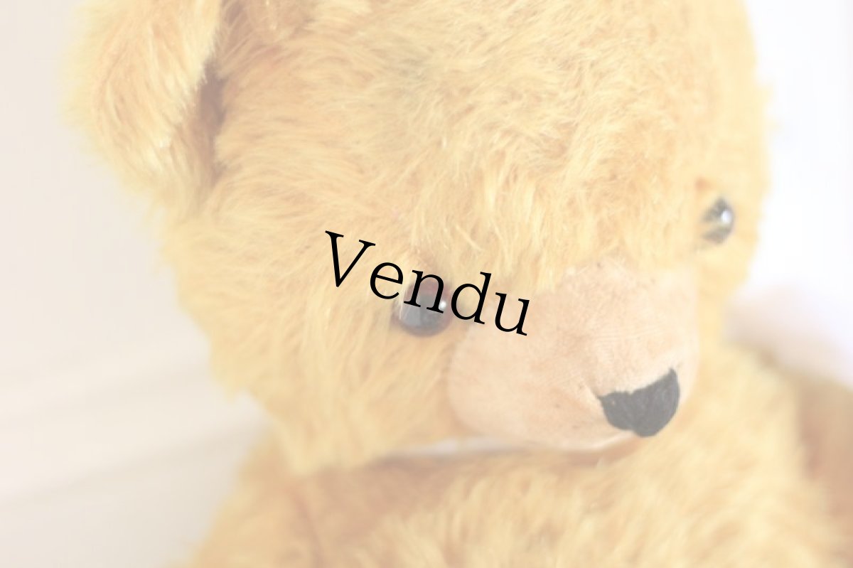 画像3: Knickerbocker Teddy Bear /16in (3)