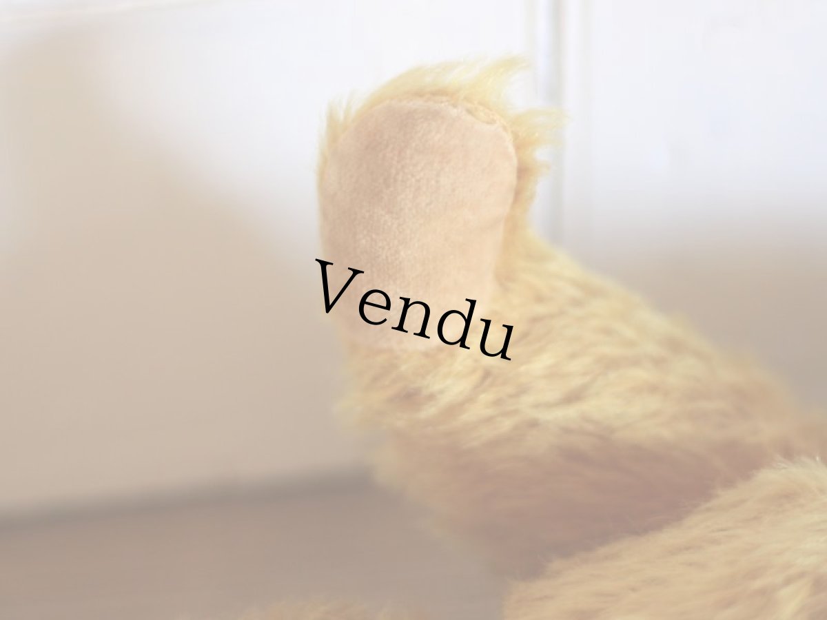 画像10: Knickerbocker Teddy Bear /16in (10)