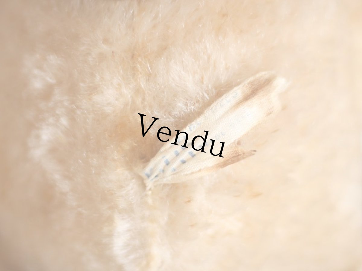 画像11: Antique Knickerbocker Kitty (11)