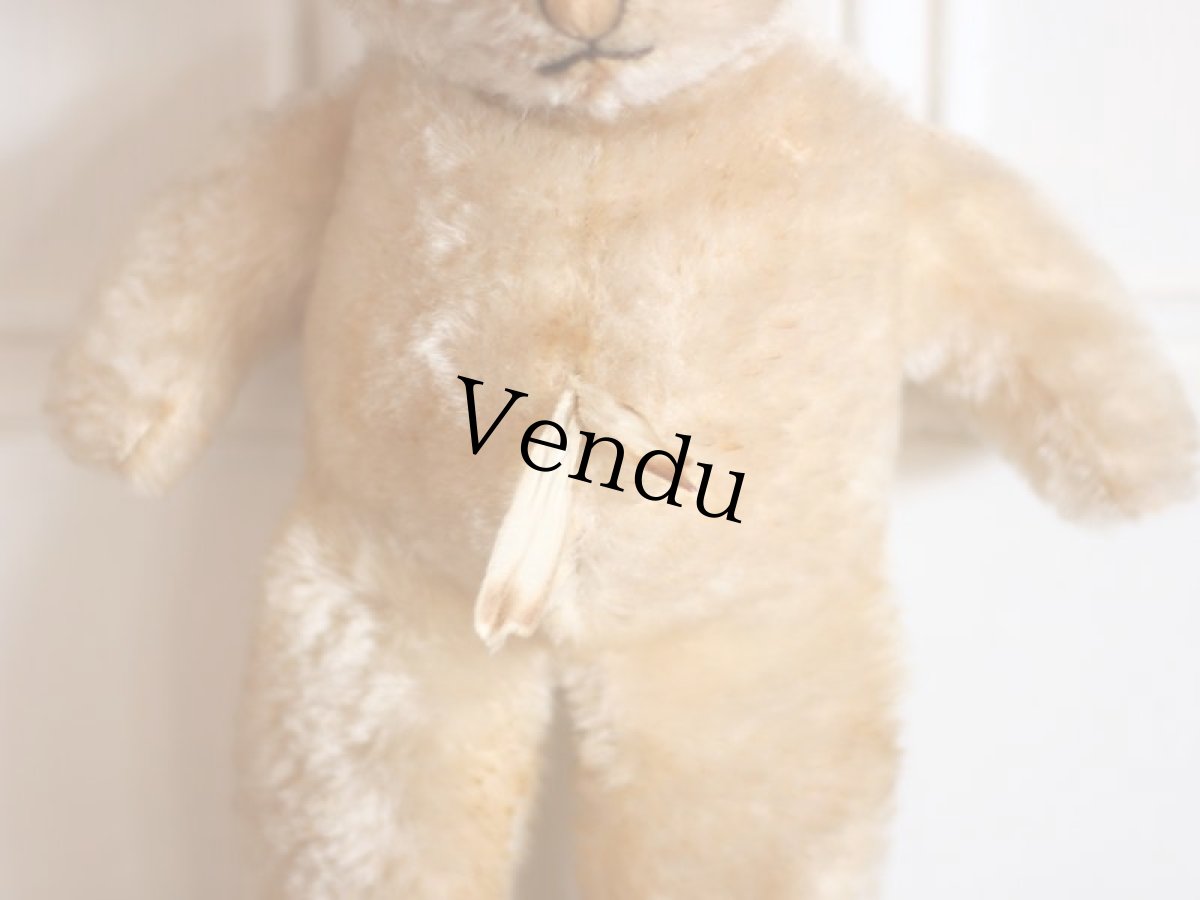 画像6: Antique Knickerbocker Kitty (6)