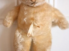 画像6: Antique Knickerbocker Kitty (6)