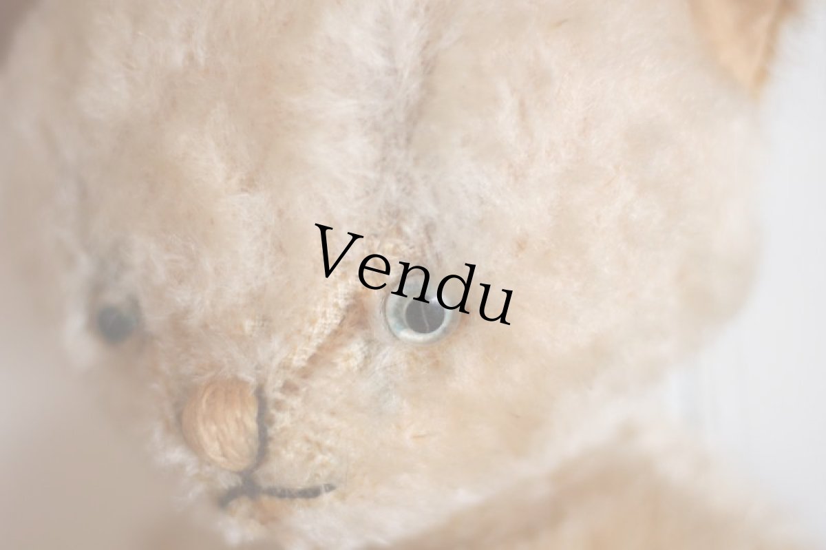 画像5: Antique Knickerbocker Kitty (5)