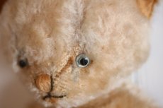 画像5: Antique Knickerbocker Kitty (5)