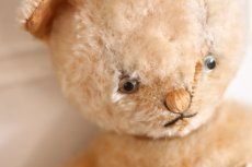 画像4: Antique Knickerbocker Kitty (4)