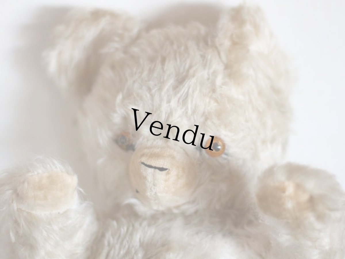 画像2: Antique Knickerbocker Teddy Kuddles /A (2)