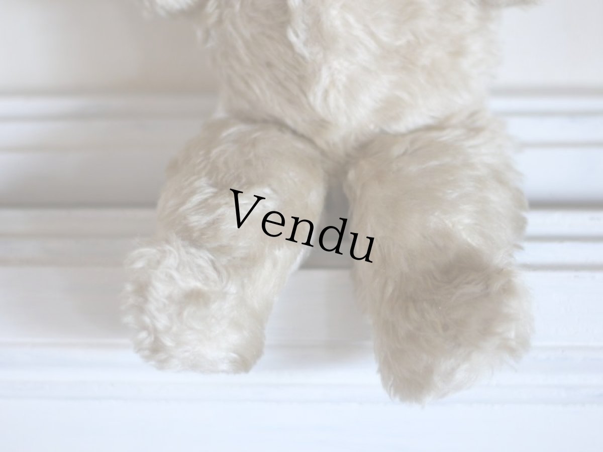 画像6: Antique Knickerbocker Teddy Kuddles /A (6)