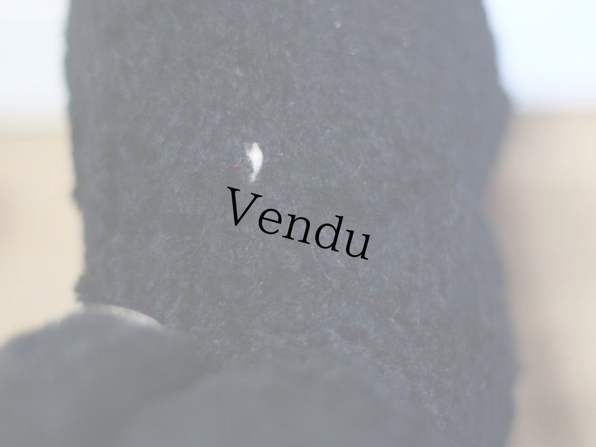 画像12: RARE!!Antique Knickerbocker Black Lamb (12)