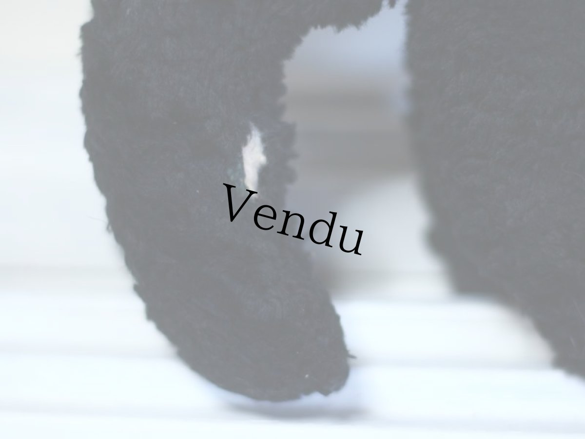 画像7: RARE!!Antique Knickerbocker Black Lamb (7)