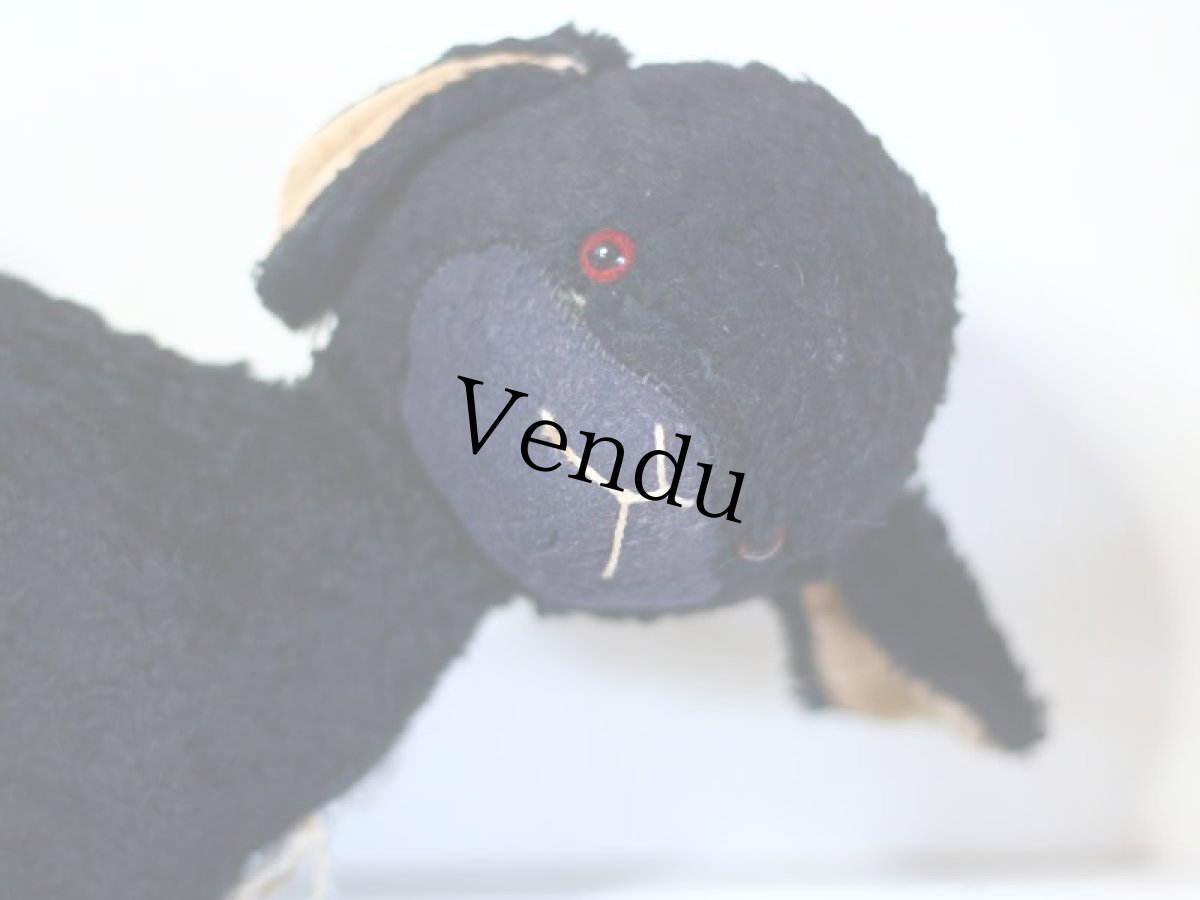 画像8: RARE!!Antique Knickerbocker Black Lamb (8)