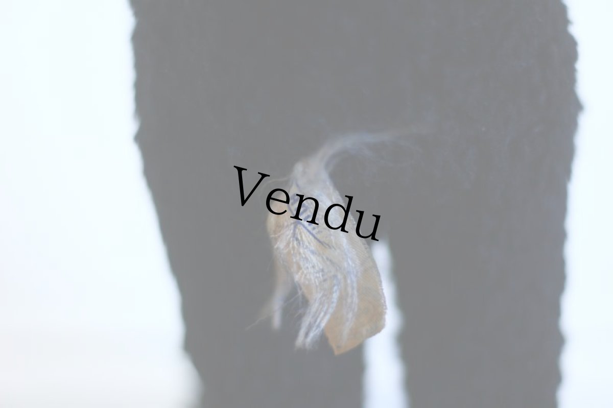 画像11: RARE!!Antique Knickerbocker Black Lamb (11)