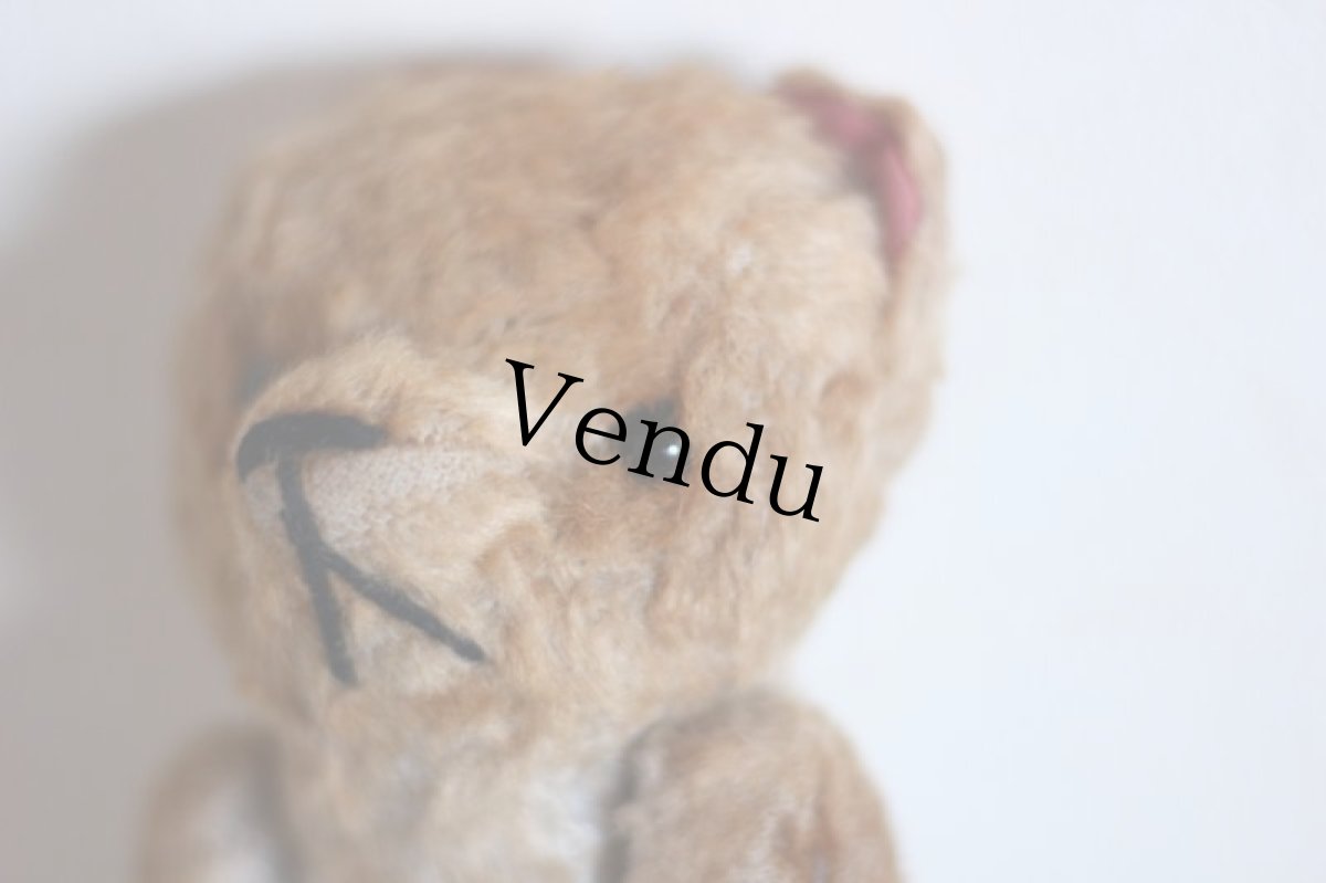 画像9: RARE!! Le Jouet Paris Massy/J.P.M. Bear/France (9)