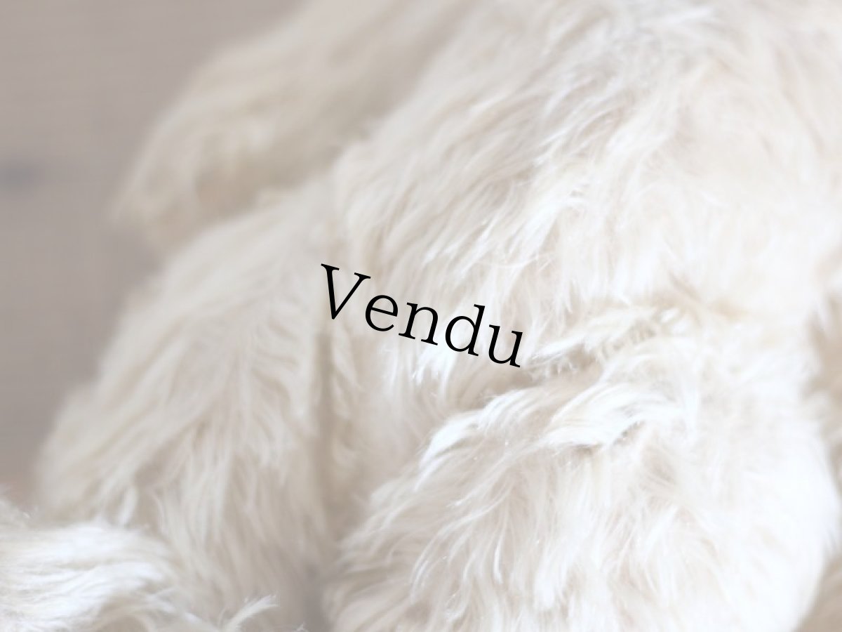 画像11: RARE!! J.P.M. 社 Bear/France/15.5in (11)