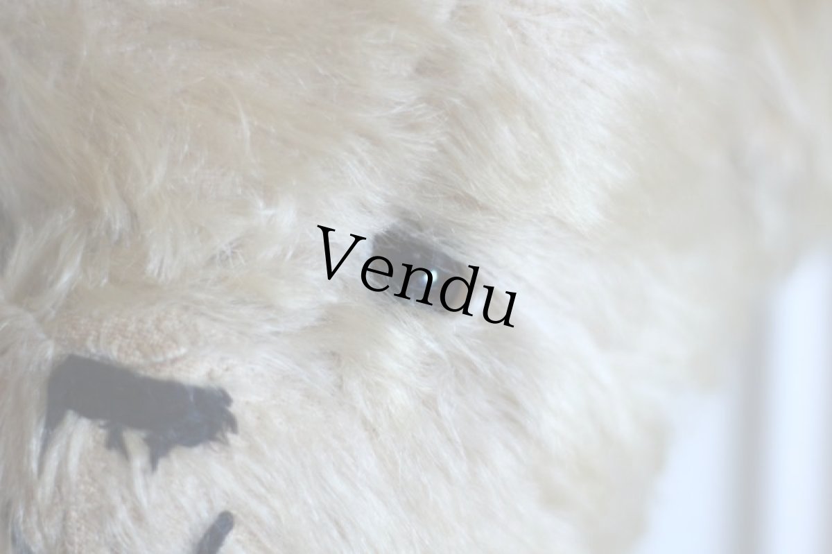 画像8: RARE!! J.P.M. 社 Bear/France/15.5in (8)