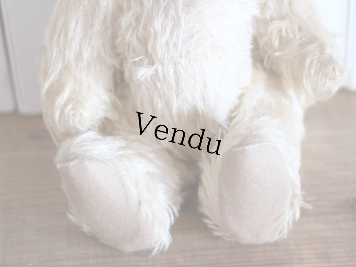 画像7: RARE!! J.P.M. 社 Bear/France/15.5in (7)