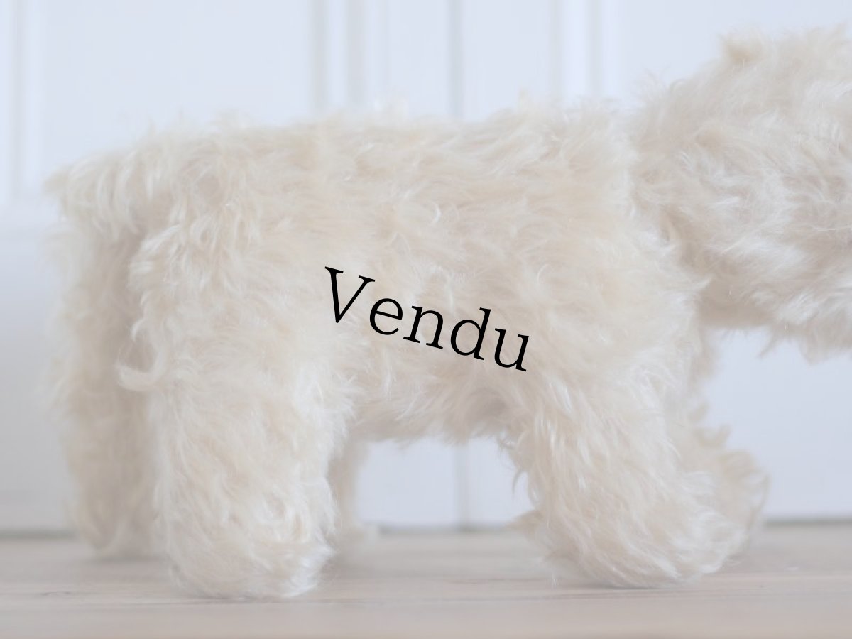 画像6: RARE!! J.P.M. 社 Cat/France/ (6)