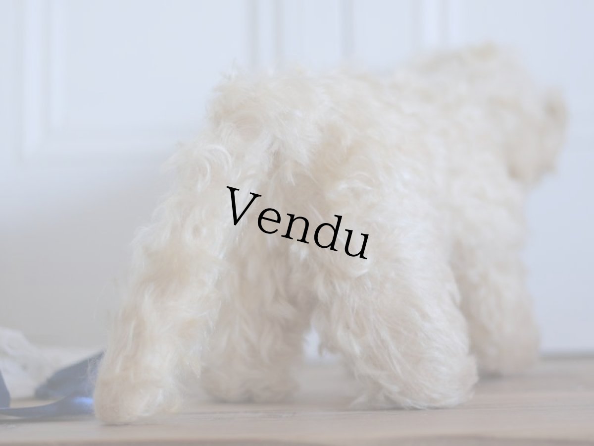 画像5: RARE!! J.P.M. 社 Cat/France/ (5)