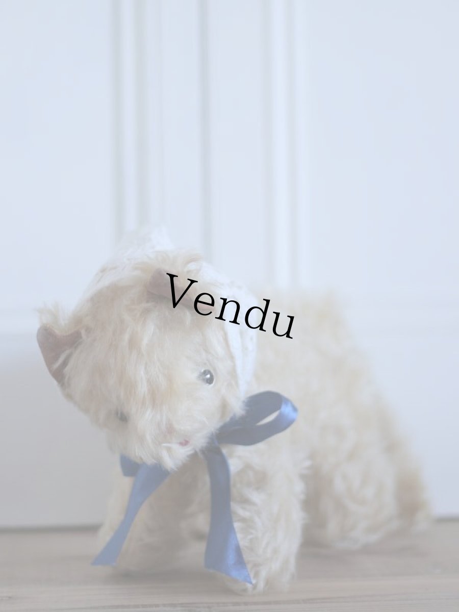 画像10: RARE!! J.P.M. 社 Cat/France/ (10)