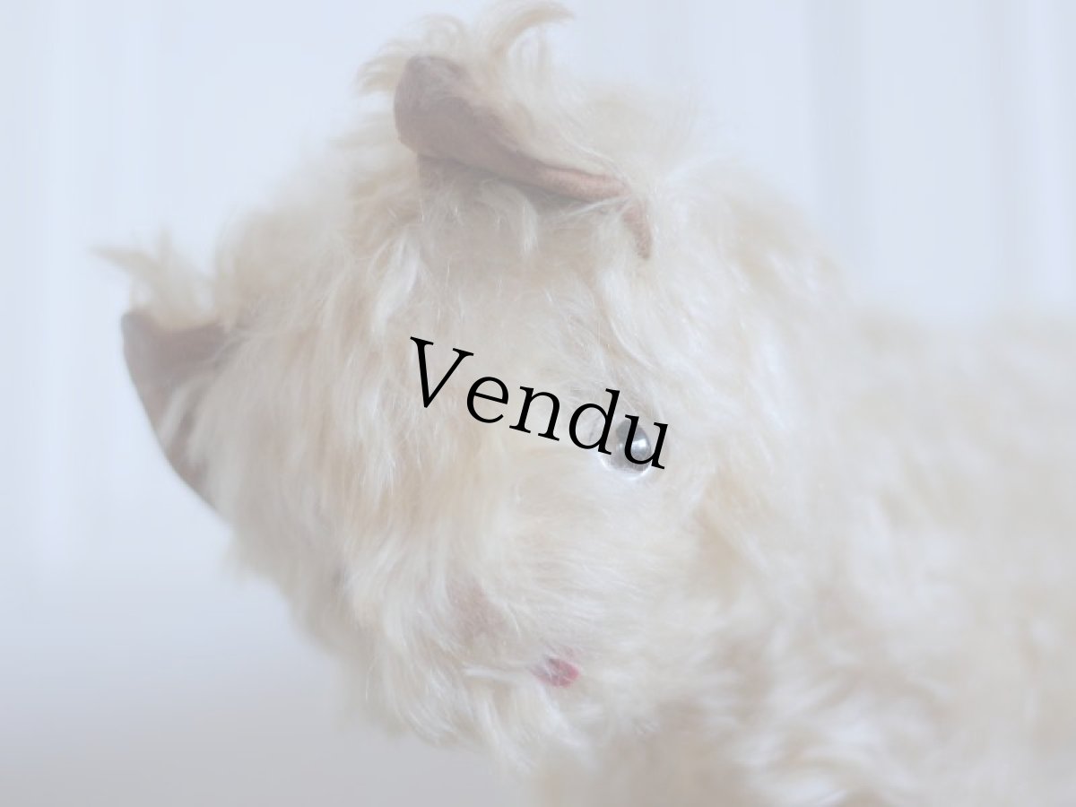 画像3: RARE!! J.P.M. 社 Cat/France/ (3)