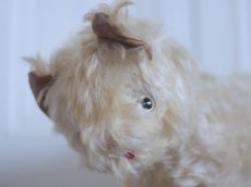 画像3: RARE!! J.P.M. 社 Cat/France/ (3)