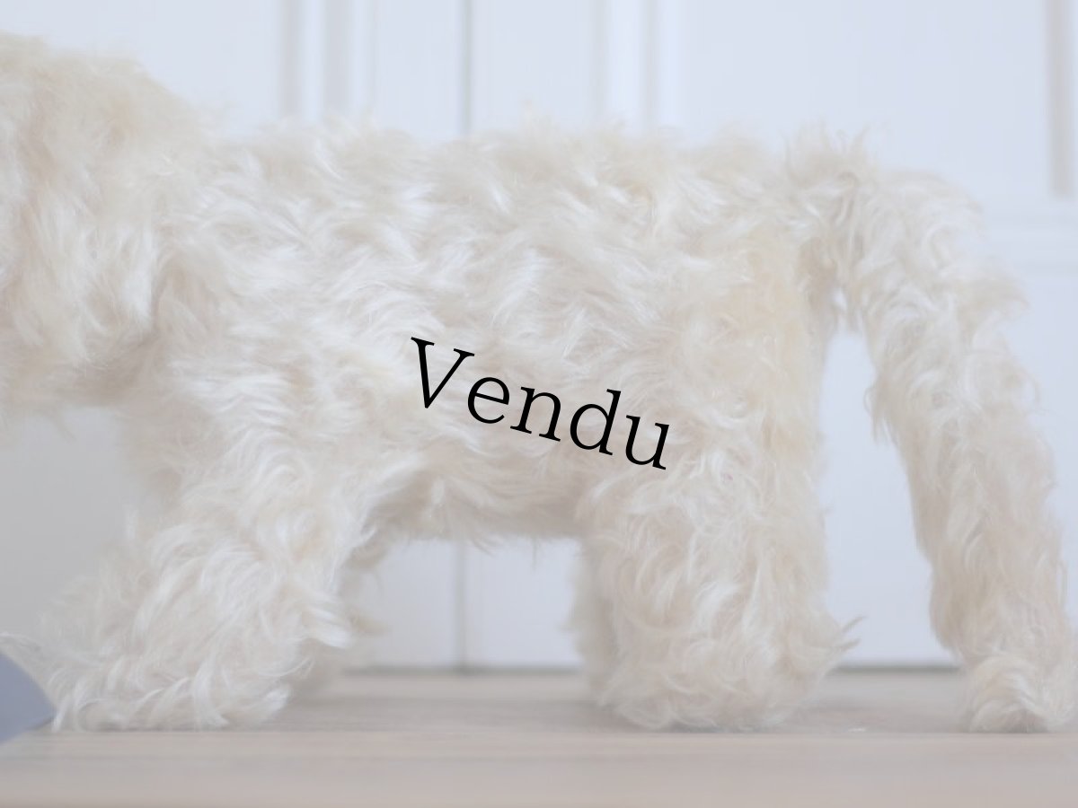 画像4: RARE!! J.P.M. 社 Cat/France/ (4)