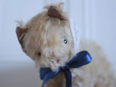 画像2: RARE!! J.P.M. 社 Cat/France/ (2)