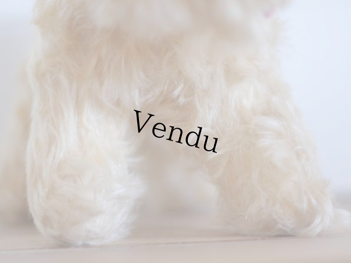 画像8: RARE!! J.P.M. 社 Cat/France/ (8)