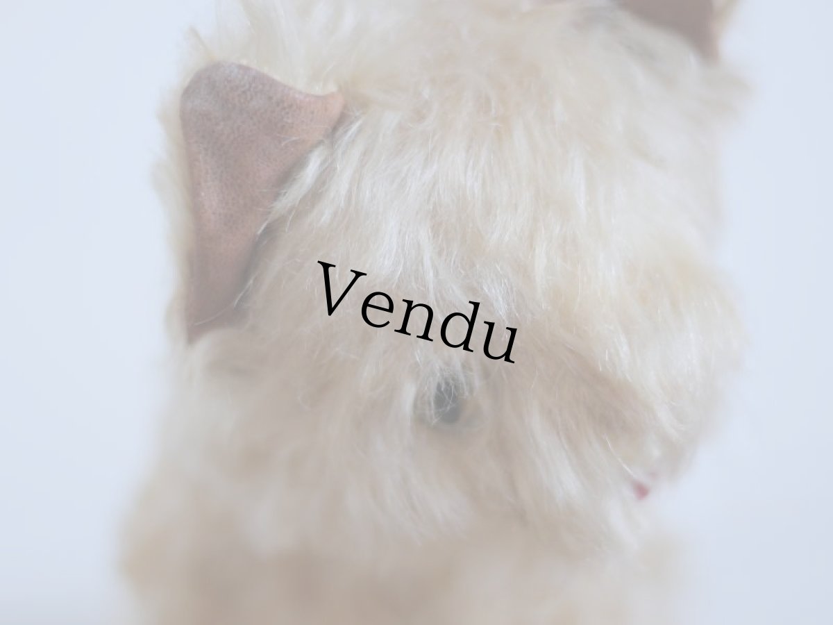 画像7: RARE!! J.P.M. 社 Cat/France/ (7)