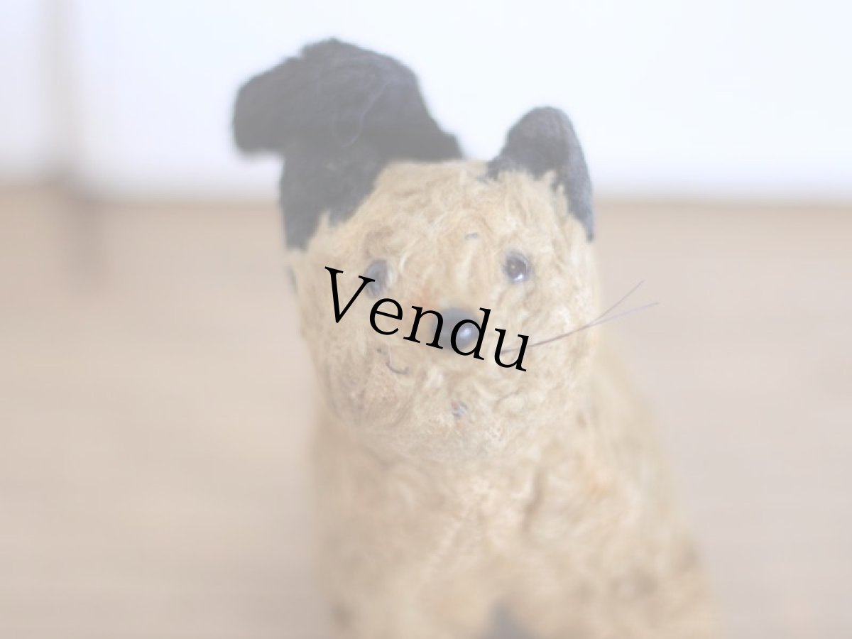 画像2: RARE!! J.P.M. 社 Cat/France/ (2)