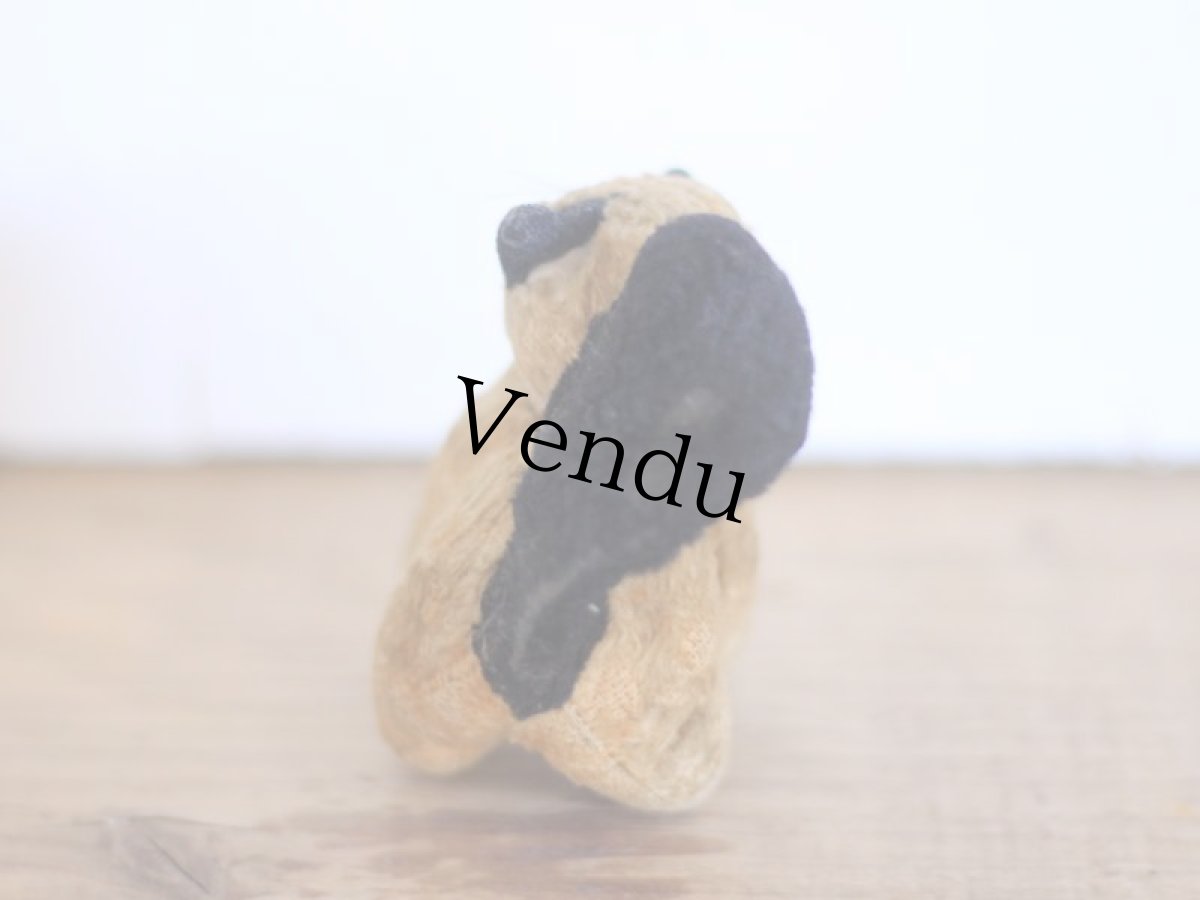 画像4: RARE!! J.P.M. 社 Cat/France/ (4)