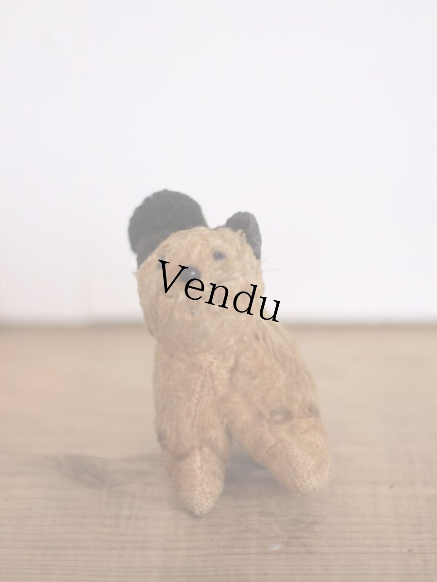 画像6: RARE!! J.P.M. 社 Cat/France/ (6)