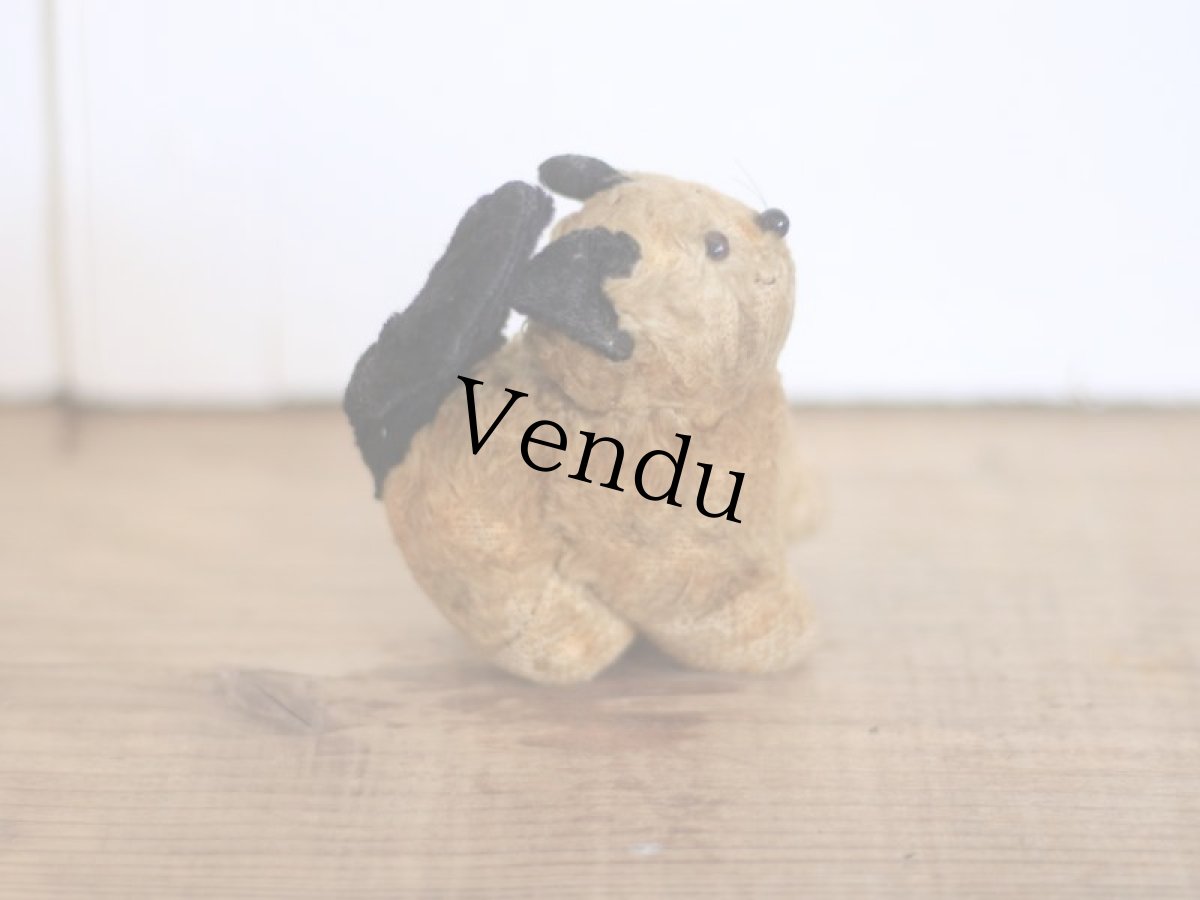 画像5: RARE!! J.P.M. 社 Cat/France/ (5)