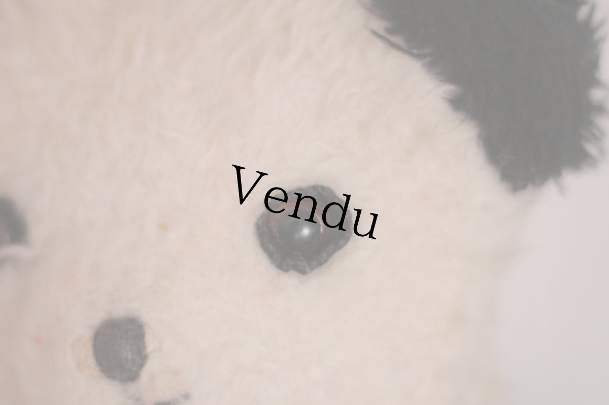 画像3: RARE!! Wendy Boston Panda/British (3)