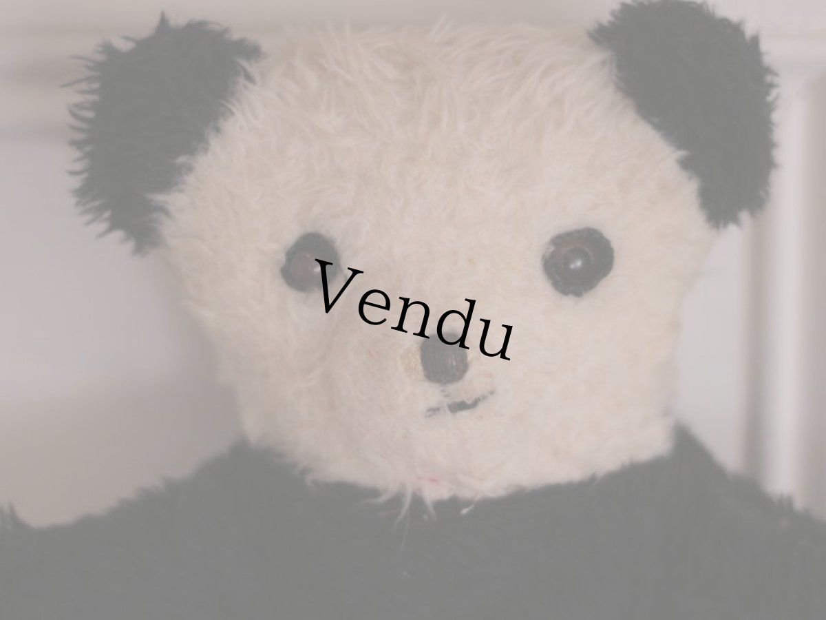 画像4: RARE!! Wendy Boston Panda/British (4)