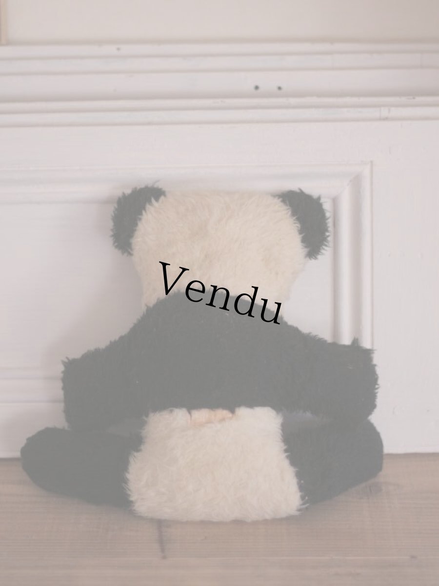 画像8: RARE!! Wendy Boston Panda/British (8)