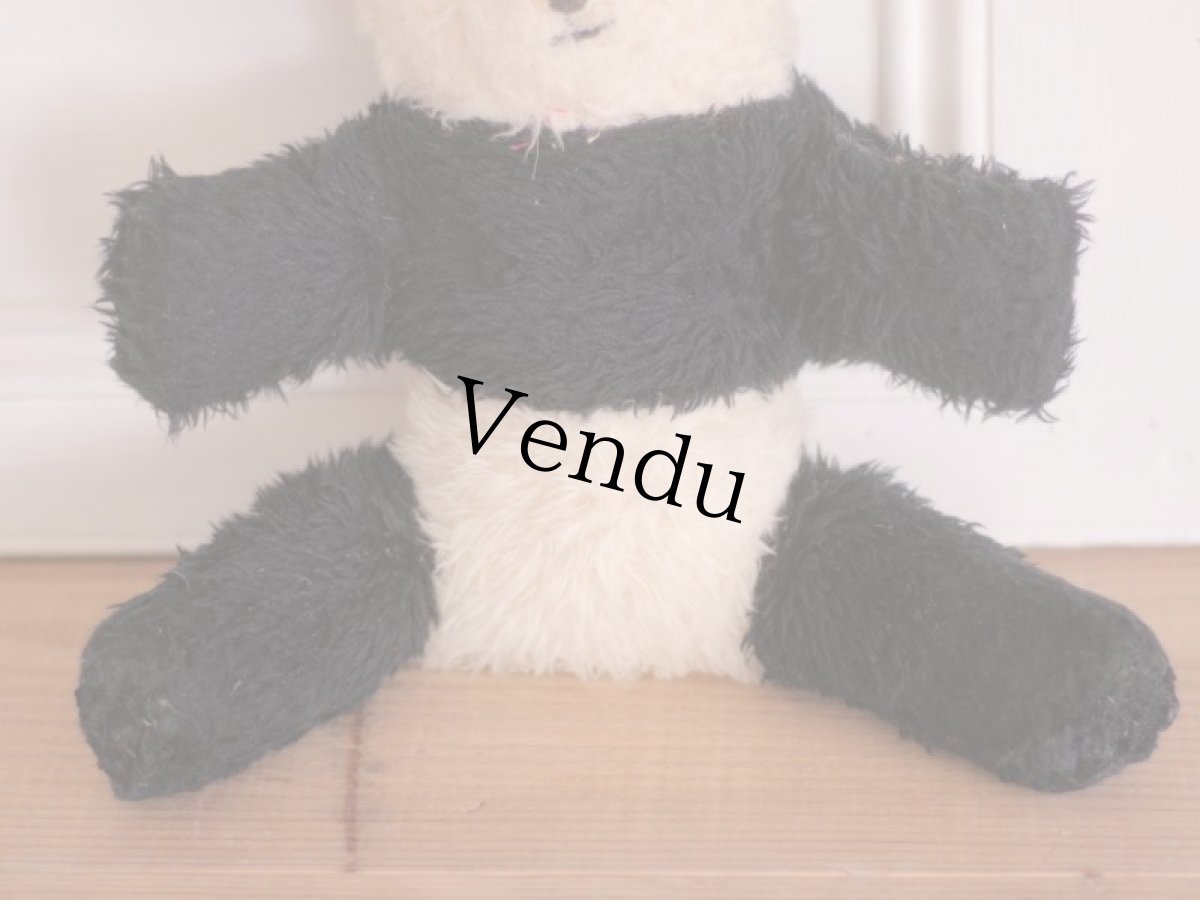 画像5: RARE!! Wendy Boston Panda/British (5)